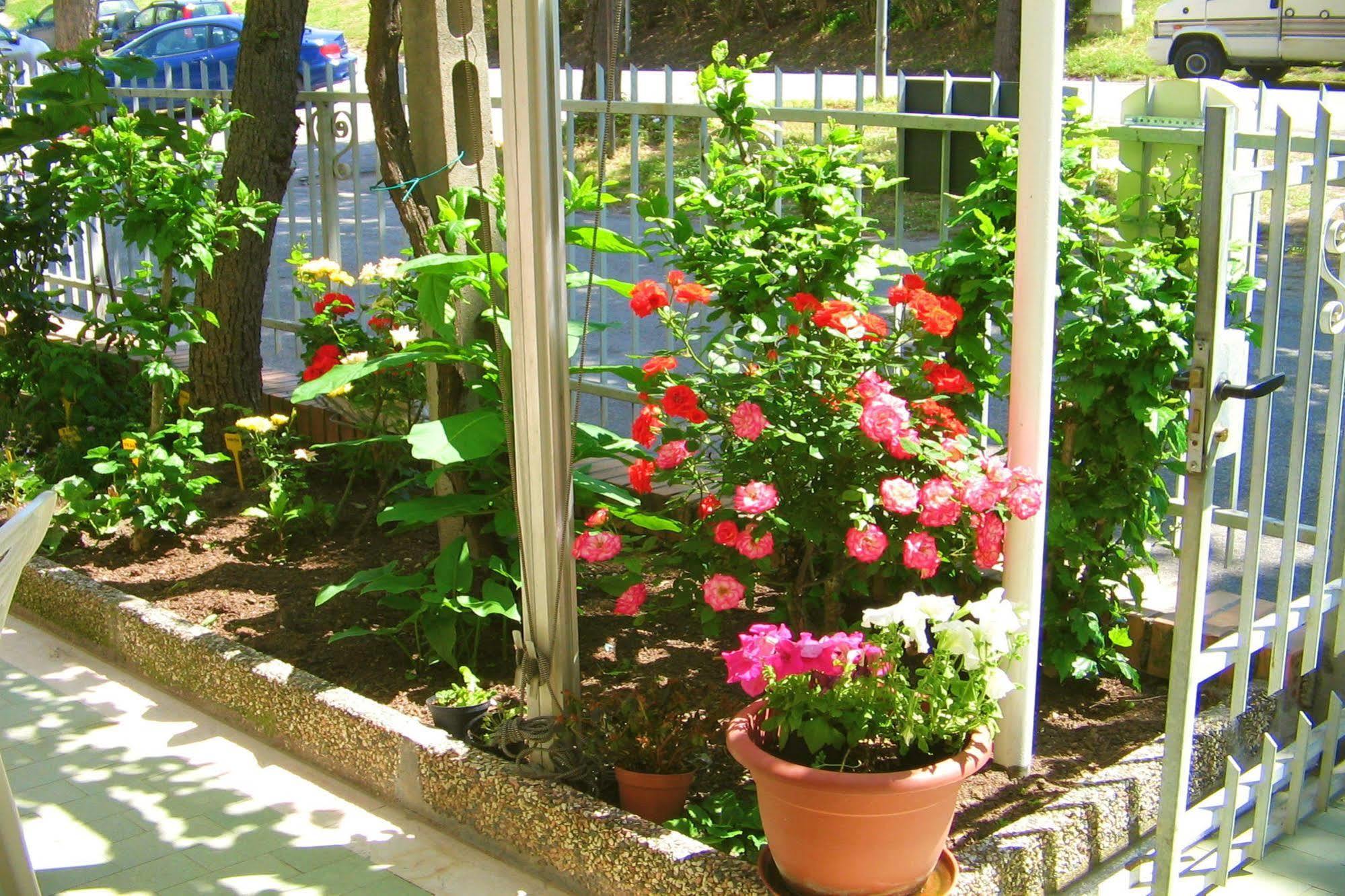 Villa Lauda B&B Rimini Extérieur photo